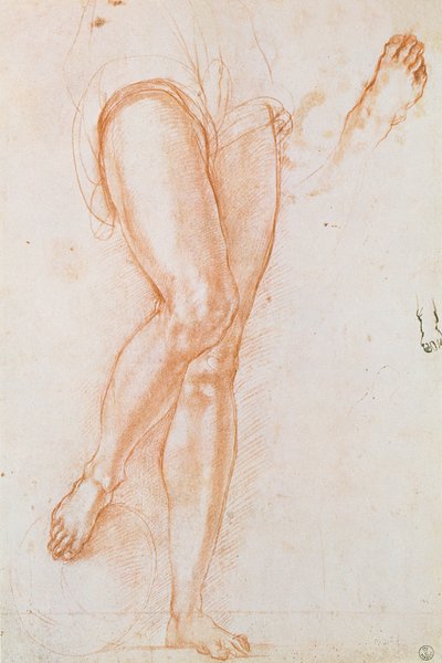Studie eines Beinpaares und zweier Füße für eine Figur des Erzengels Michael von Jacopo Pontormo